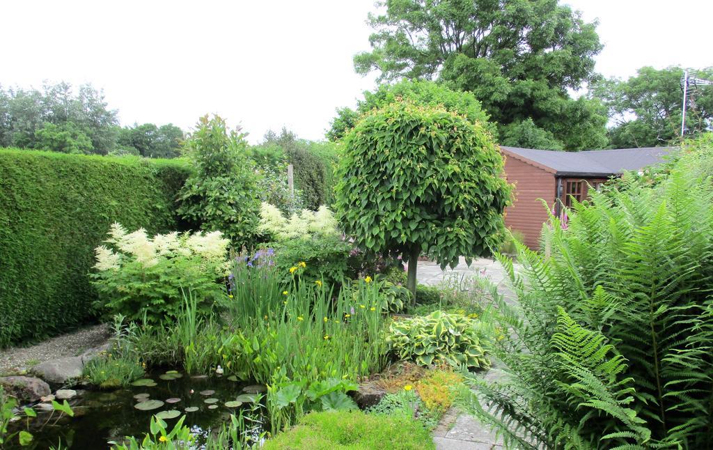 The Garden Lodge Llynclys Exterior foto